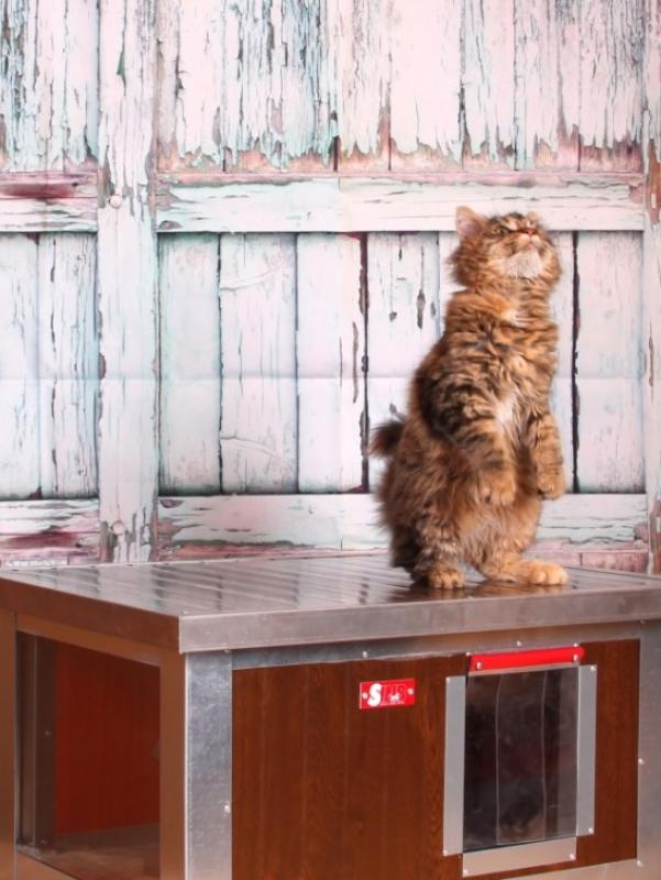 Zateplená búda pre mačku s panorama oknom (imitácia dreva)