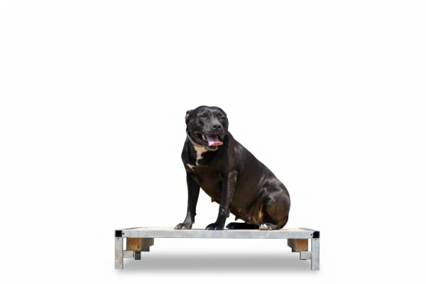 Oddychová lavica pre psa 1